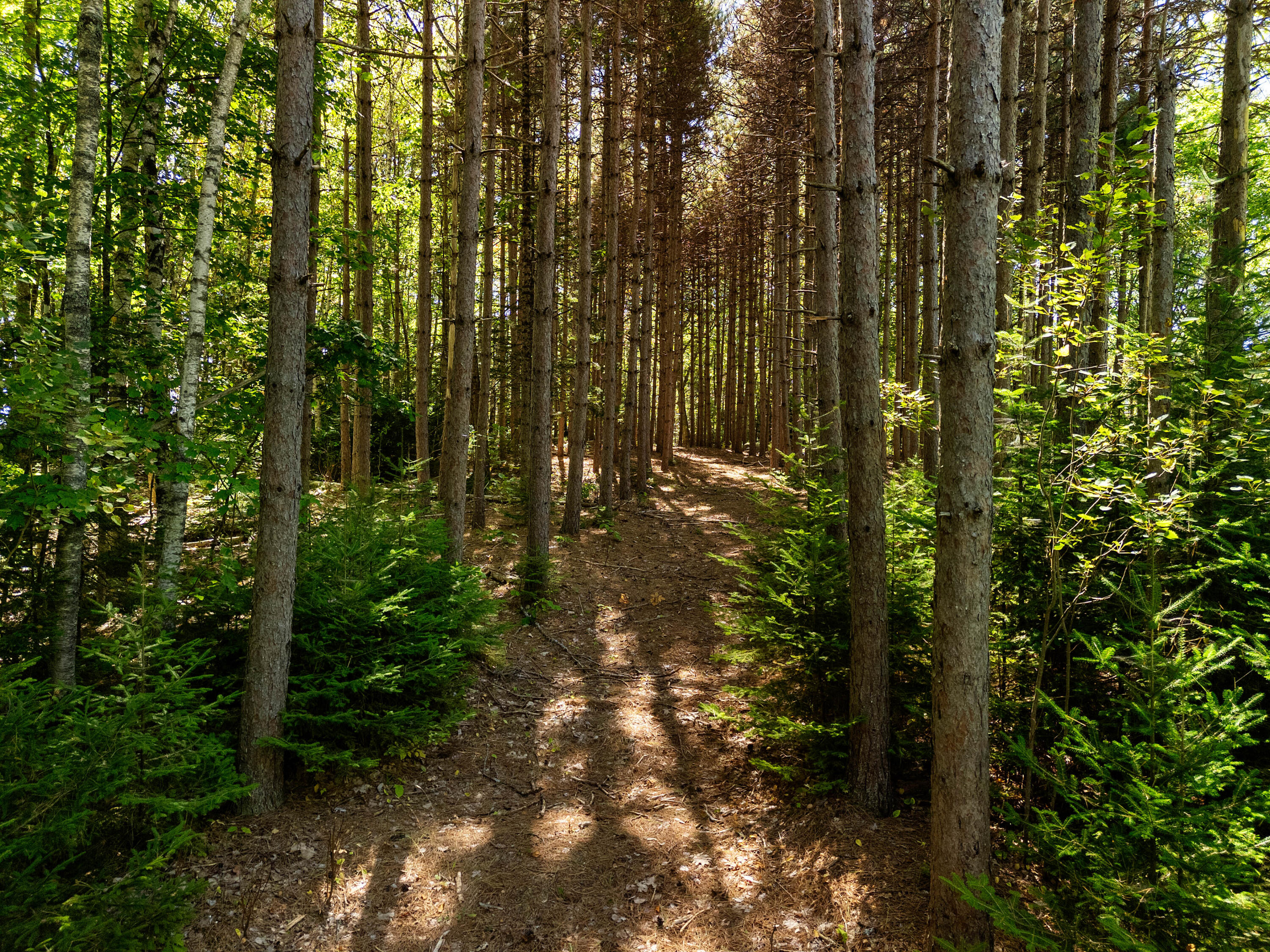 142D Tucker Brook Road Lincolnville ME 04849