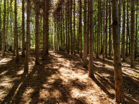 142d Tucker Brook Road Lincolnville ME 04849