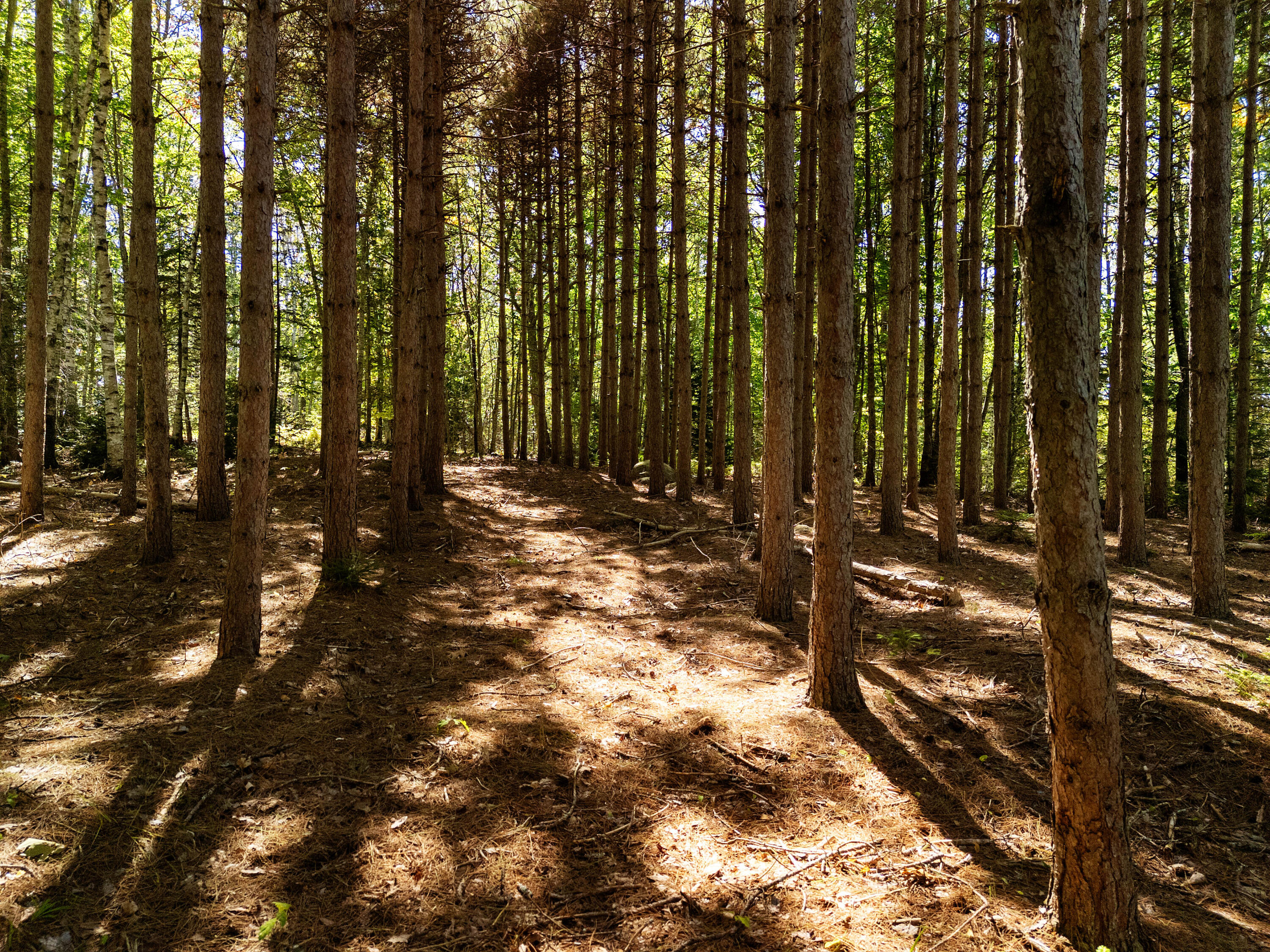 142D Tucker Brook Road Lincolnville ME 04849