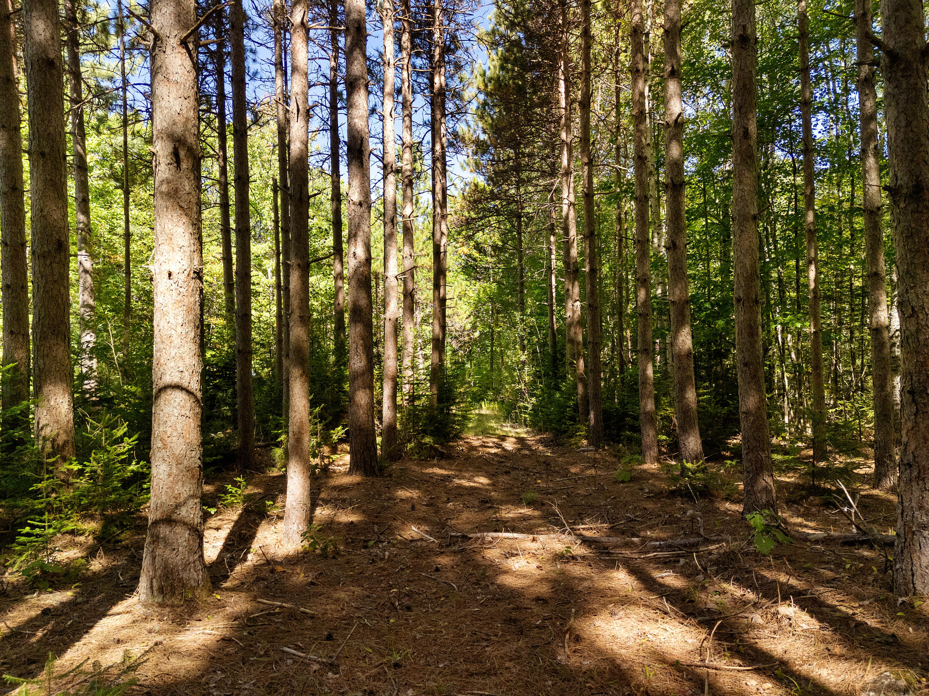 142D Tucker Brook Road Lincolnville ME 04849