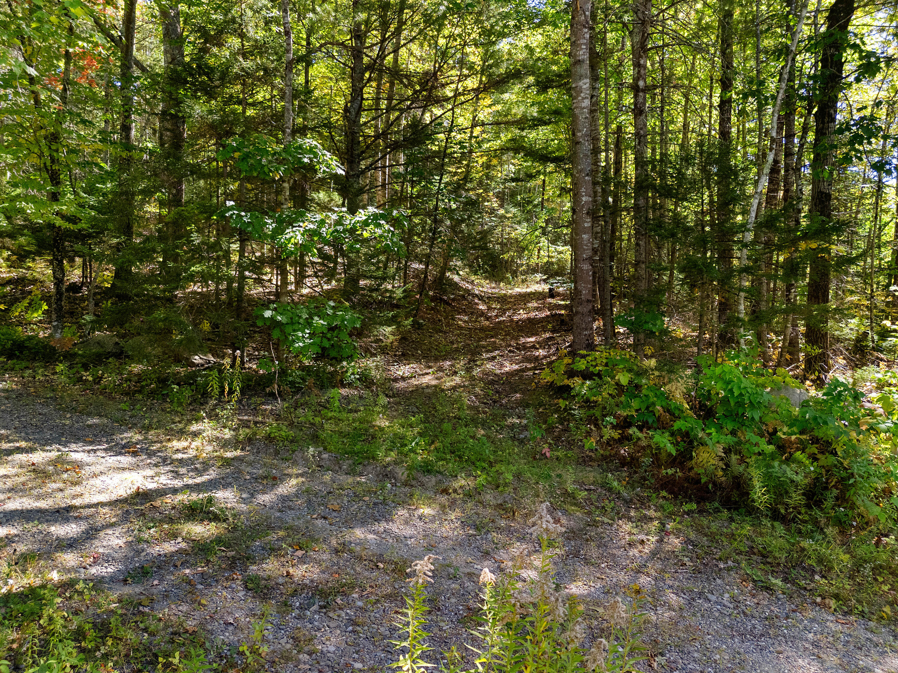 142D Tucker Brook Road Lincolnville ME 04849