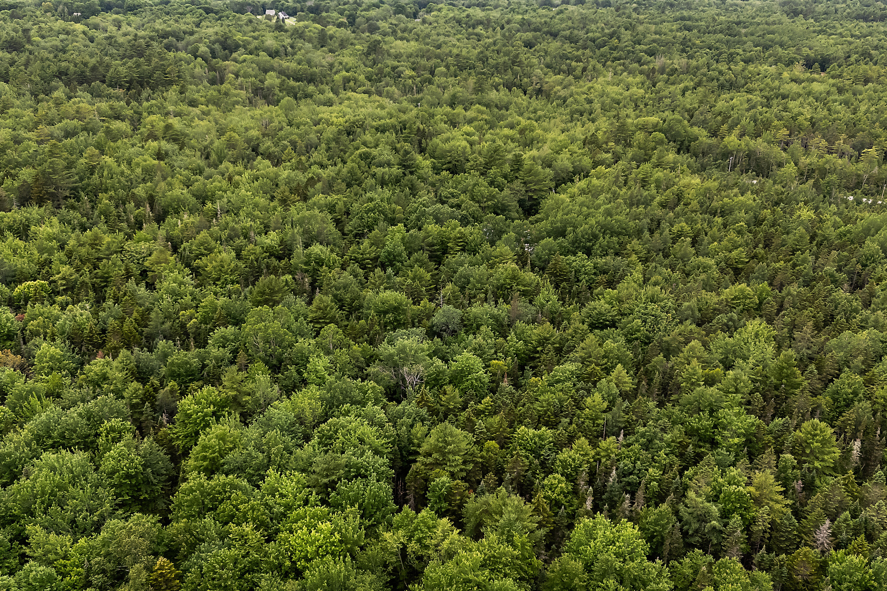 273 Feylers Corner Road Waldoboro ME 04572