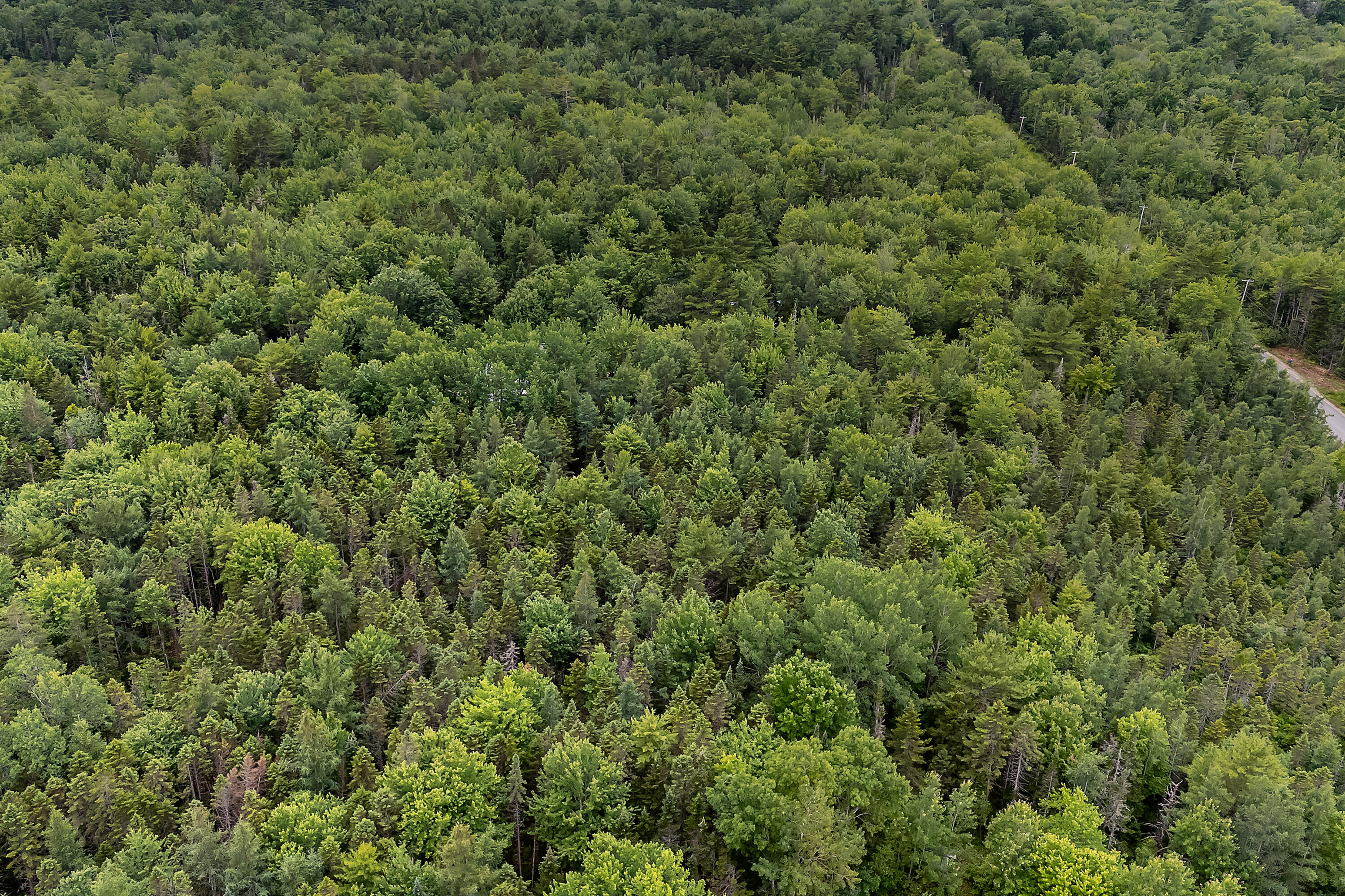 273 Feylers Corner Road Waldoboro ME 04572