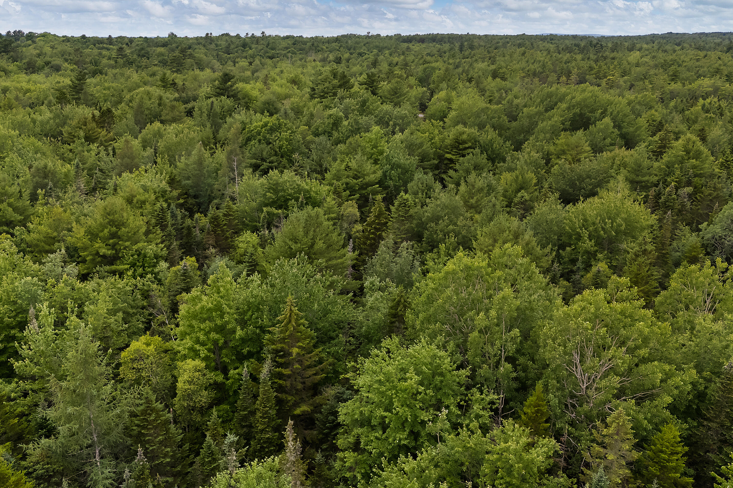 273 Feylers Corner Road Waldoboro ME 04572