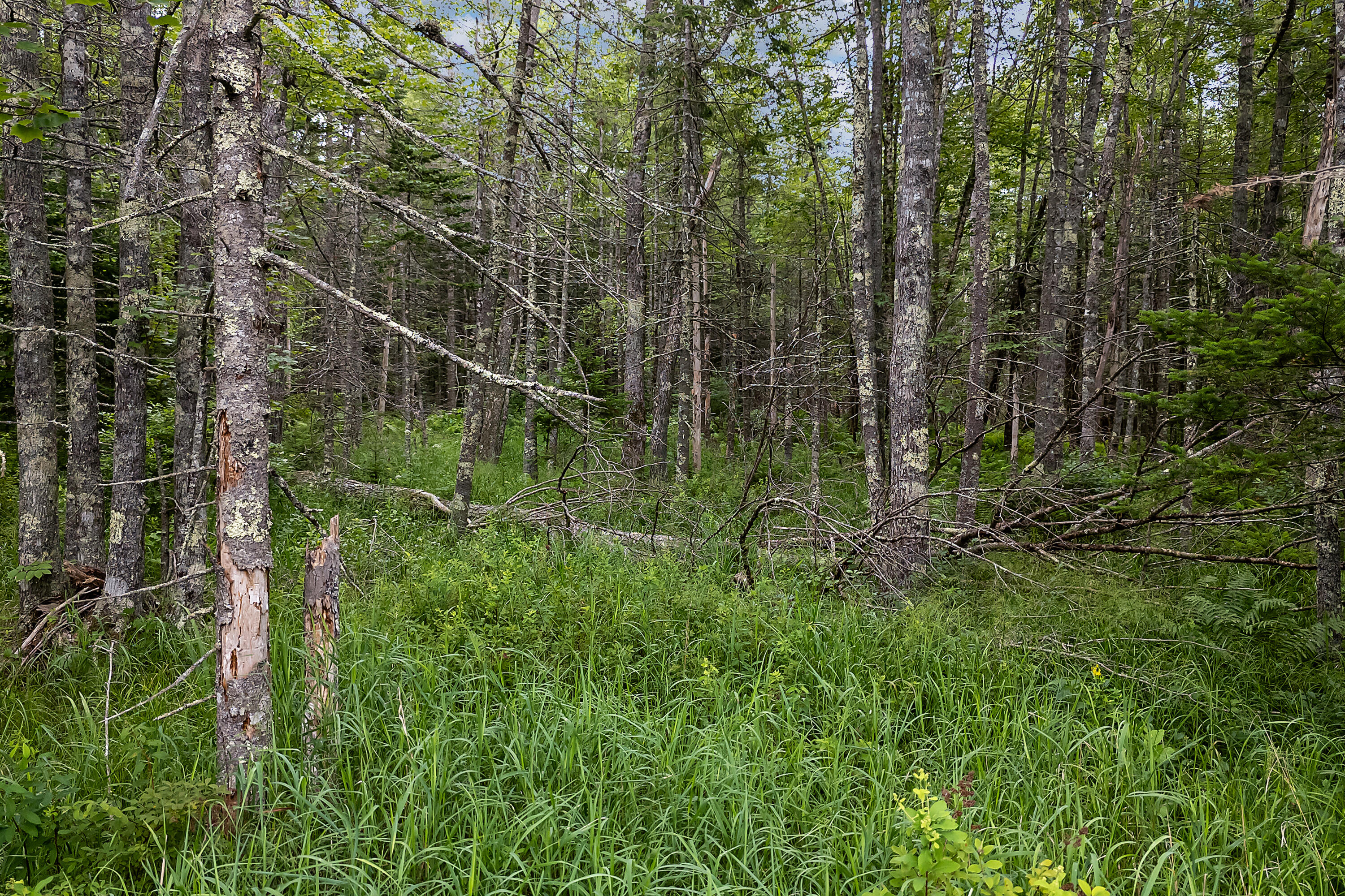 273 Feylers Corner Road Waldoboro ME 04572