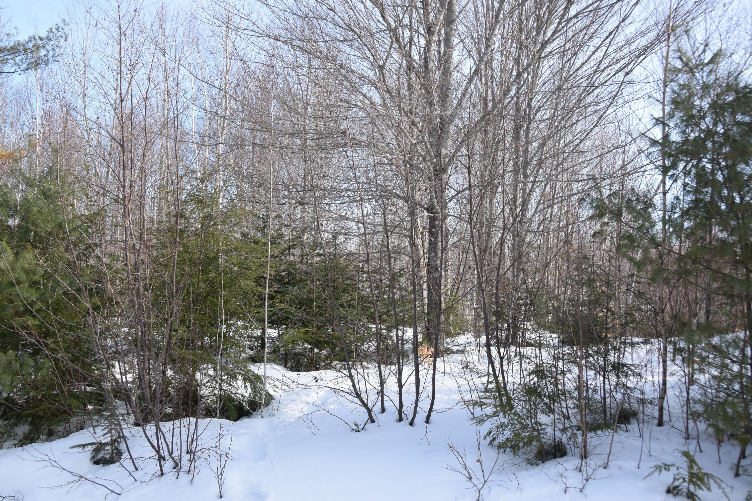 M7 L13-1 Pine Bluff Road Embden ME 04958