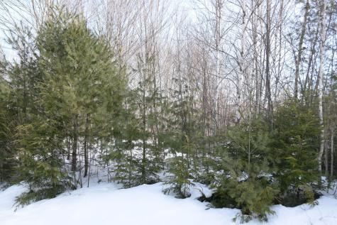 M7 L13-1 Pine Bluff Road Embden ME 04958