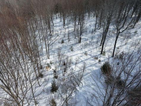 M7 L13-1 Pine Bluff Road Embden ME 04958