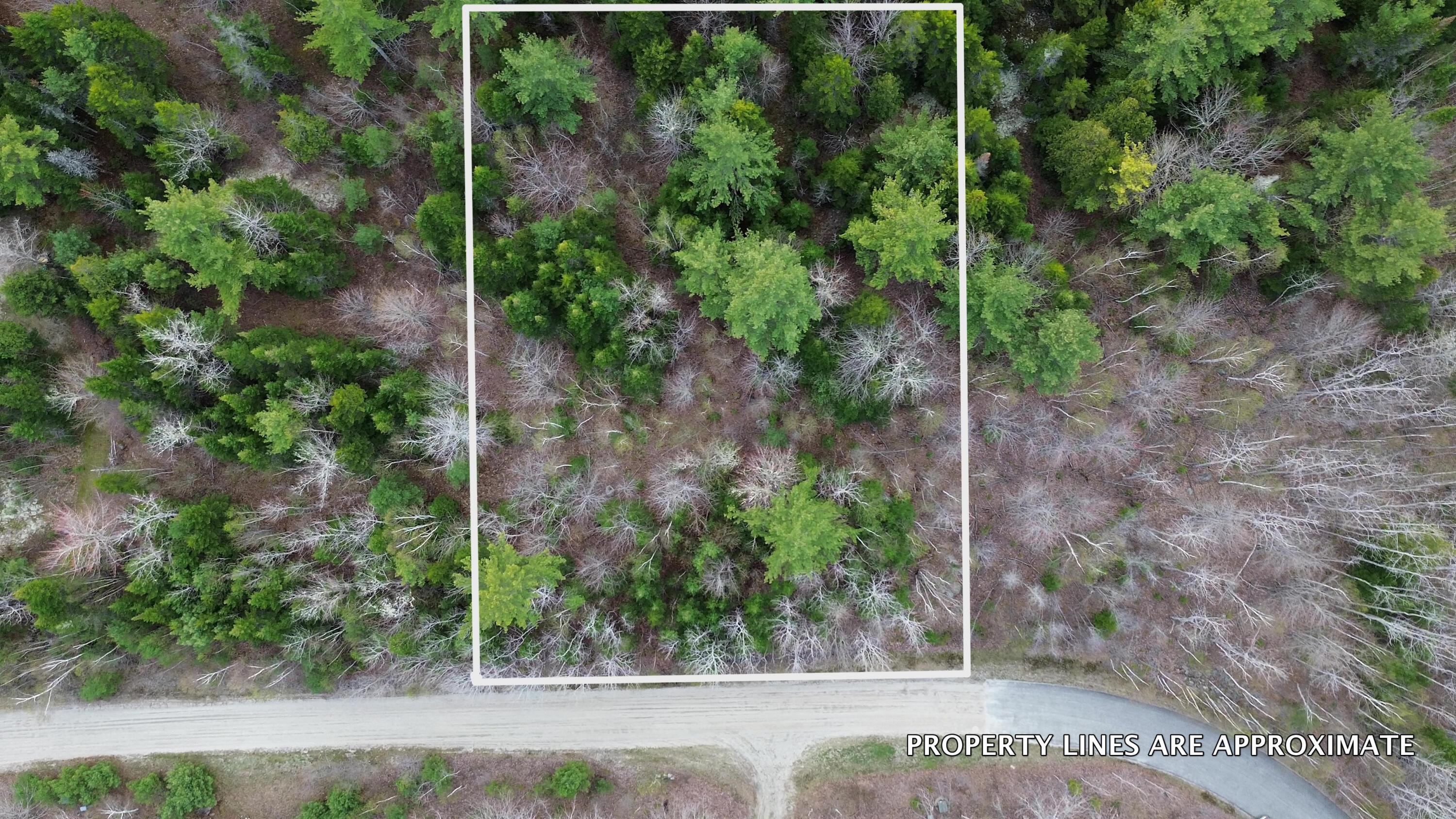 Lot 1 Bailey Mountain Road Franklin ME 04634