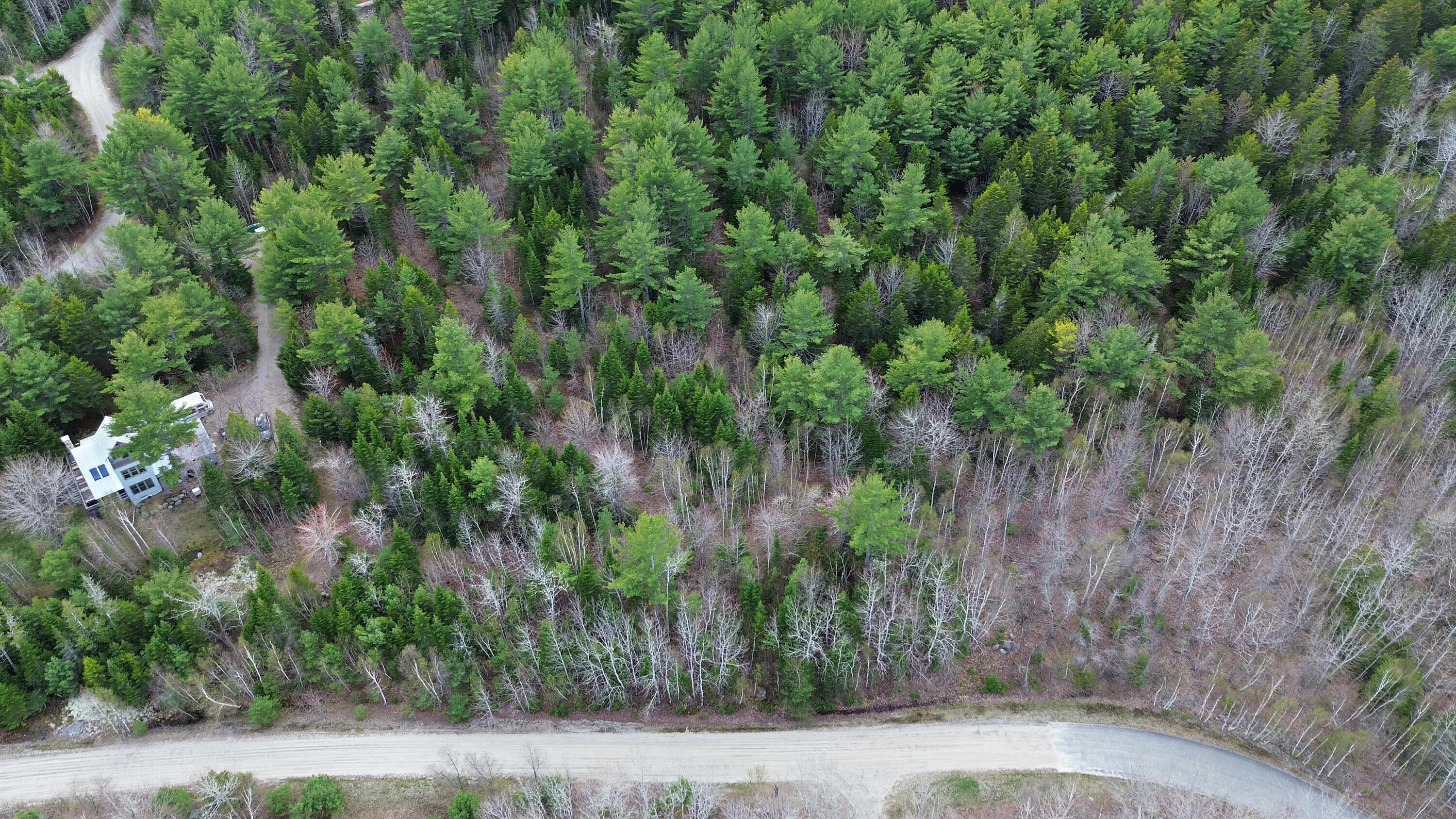 Lot 1 Bailey Mountain Road Franklin ME 04634