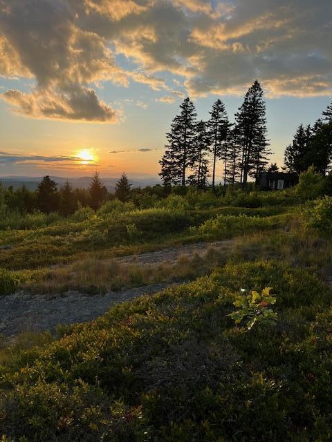 533 Mt Ephraim Road Searsport ME 04974