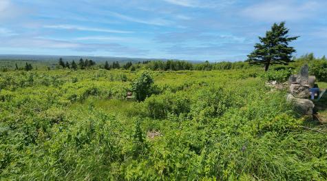 533 Mt Ephraim Road Searsport ME 04974