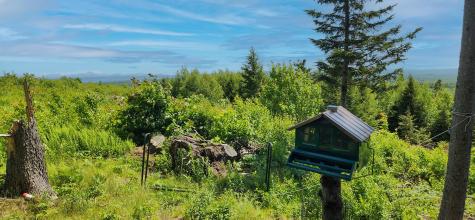 533 Mt Ephraim Road Searsport ME 04974