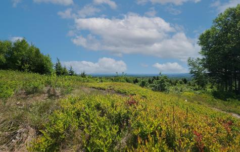 533 Mt Ephraim Road Searsport ME 04974