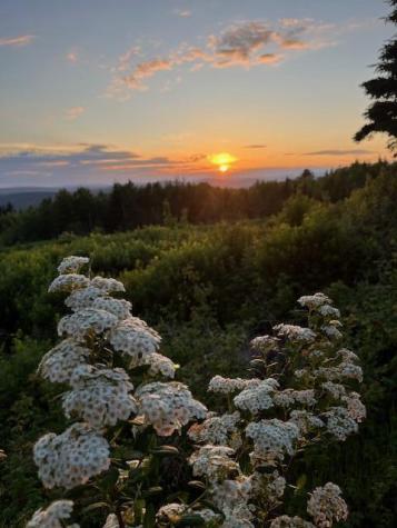 533 Mt Ephraim Road Searsport ME 04974