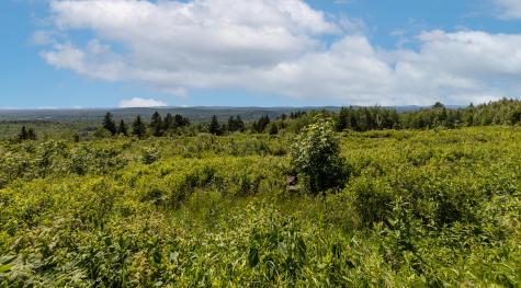 533 Mt Ephraim Road Searsport ME 04974
