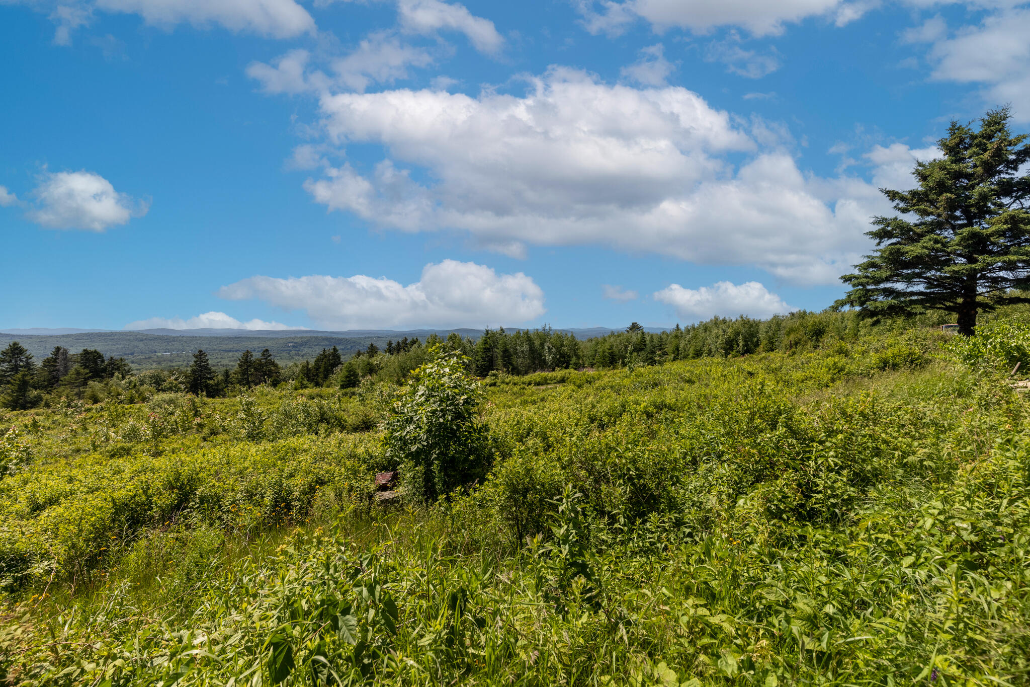 533 Mt Ephraim Road Searsport ME 04974
