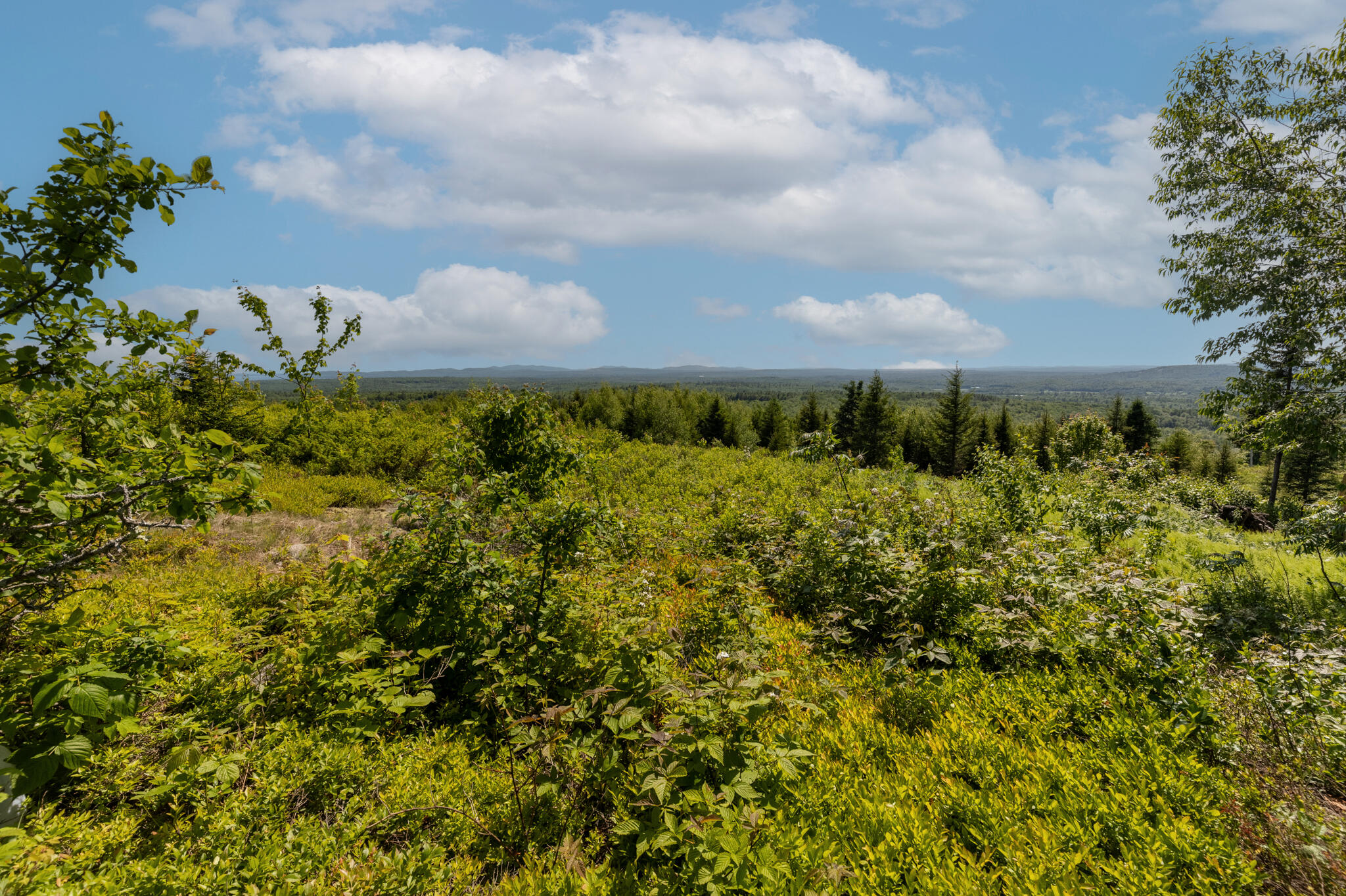 533 Mt Ephraim Road Searsport ME 04974