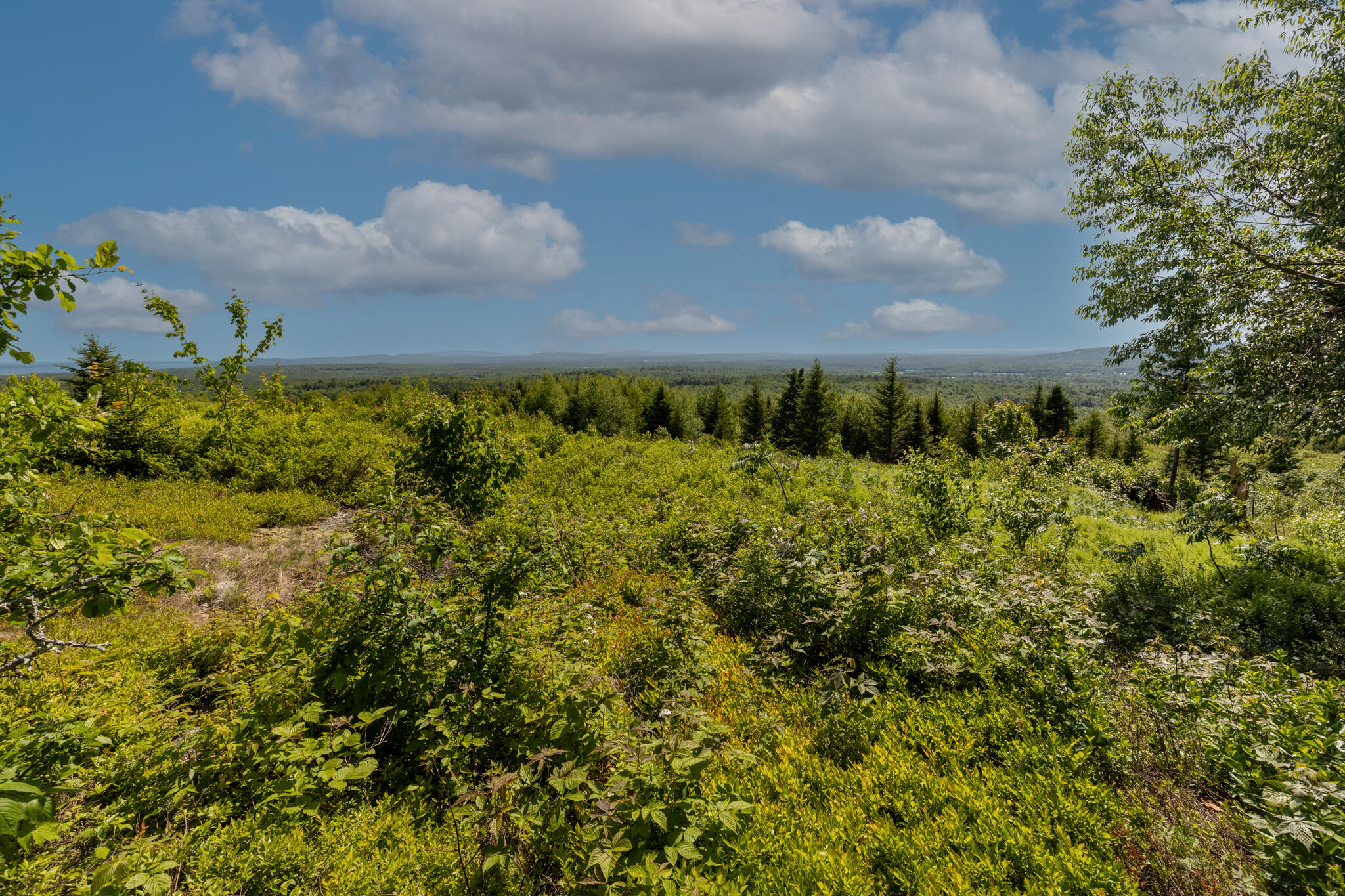 533 Mt Ephraim Road Searsport ME 04974