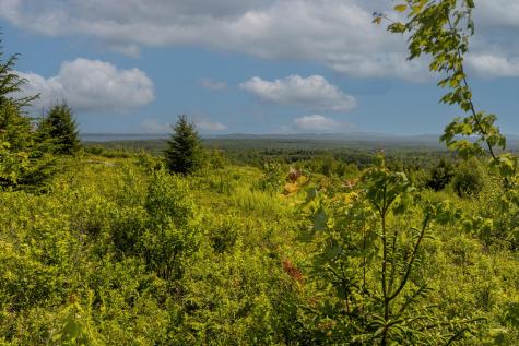 533 Mt Ephraim Road Searsport ME 04974