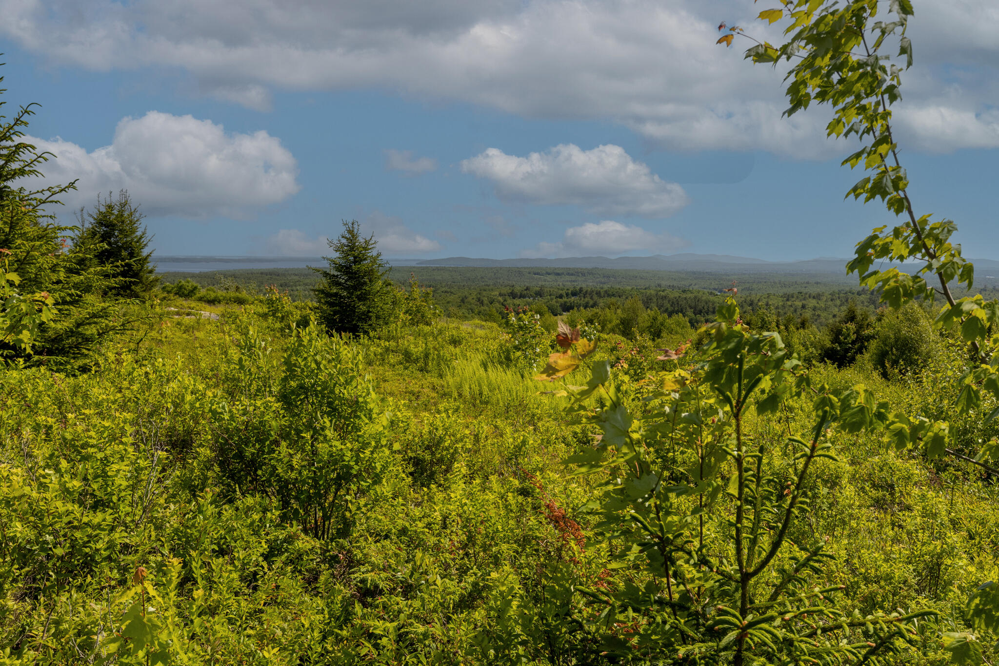 533 Mt Ephraim Road Searsport ME 04974