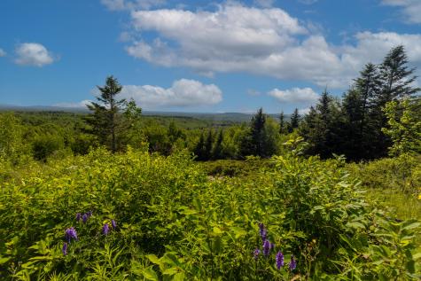 533 Mt Ephraim Road Searsport ME 04974