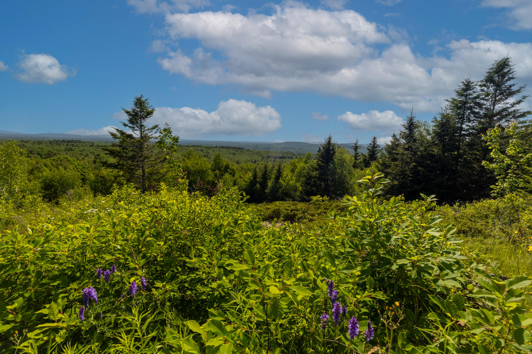 533 Mt Ephraim Road Searsport ME 04974