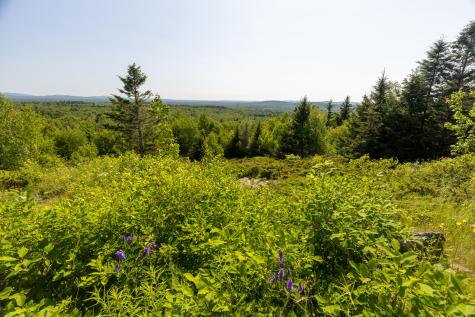 533 Mt Ephraim Road Searsport ME 04974