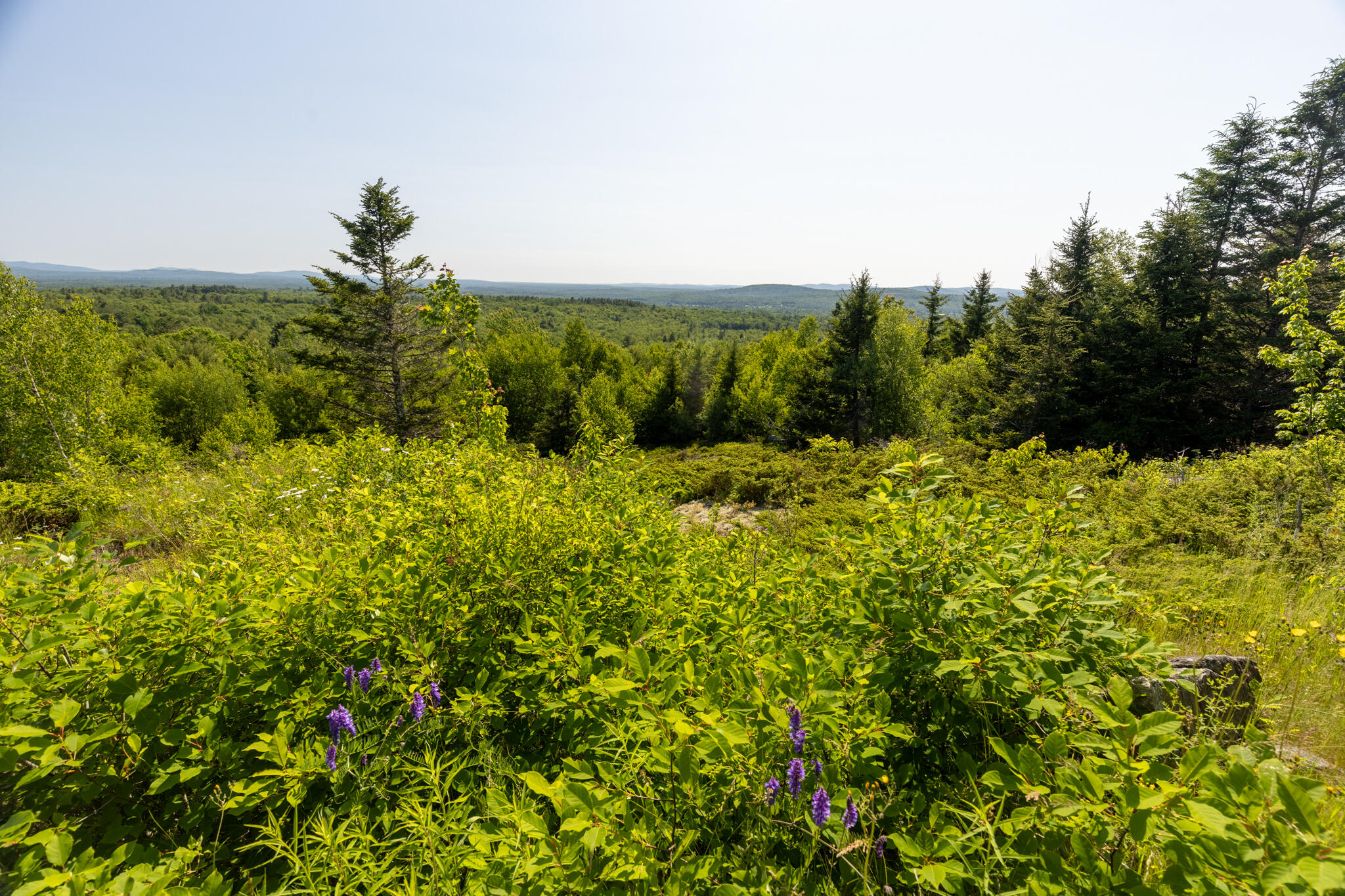 533 Mt Ephraim Road Searsport ME 04974
