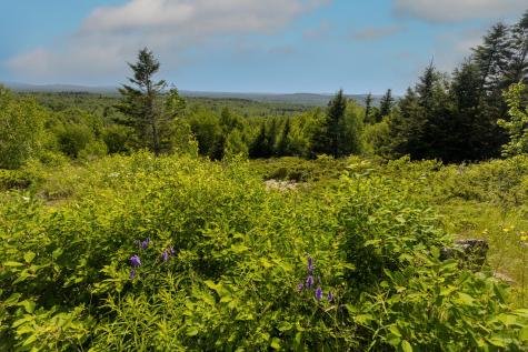 533 Mt Ephraim Road Searsport ME 04974
