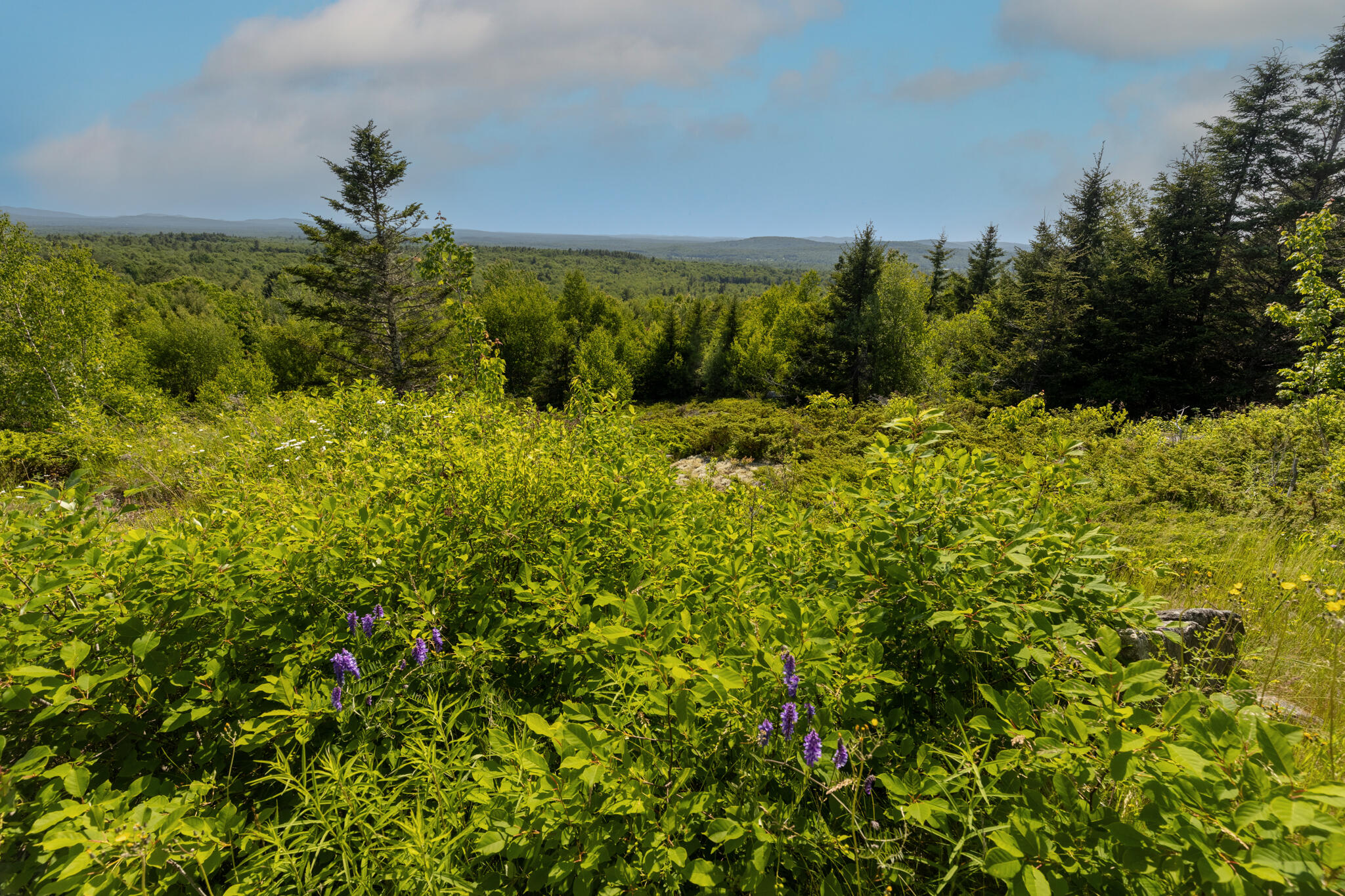 533 Mt Ephraim Road Searsport ME 04974