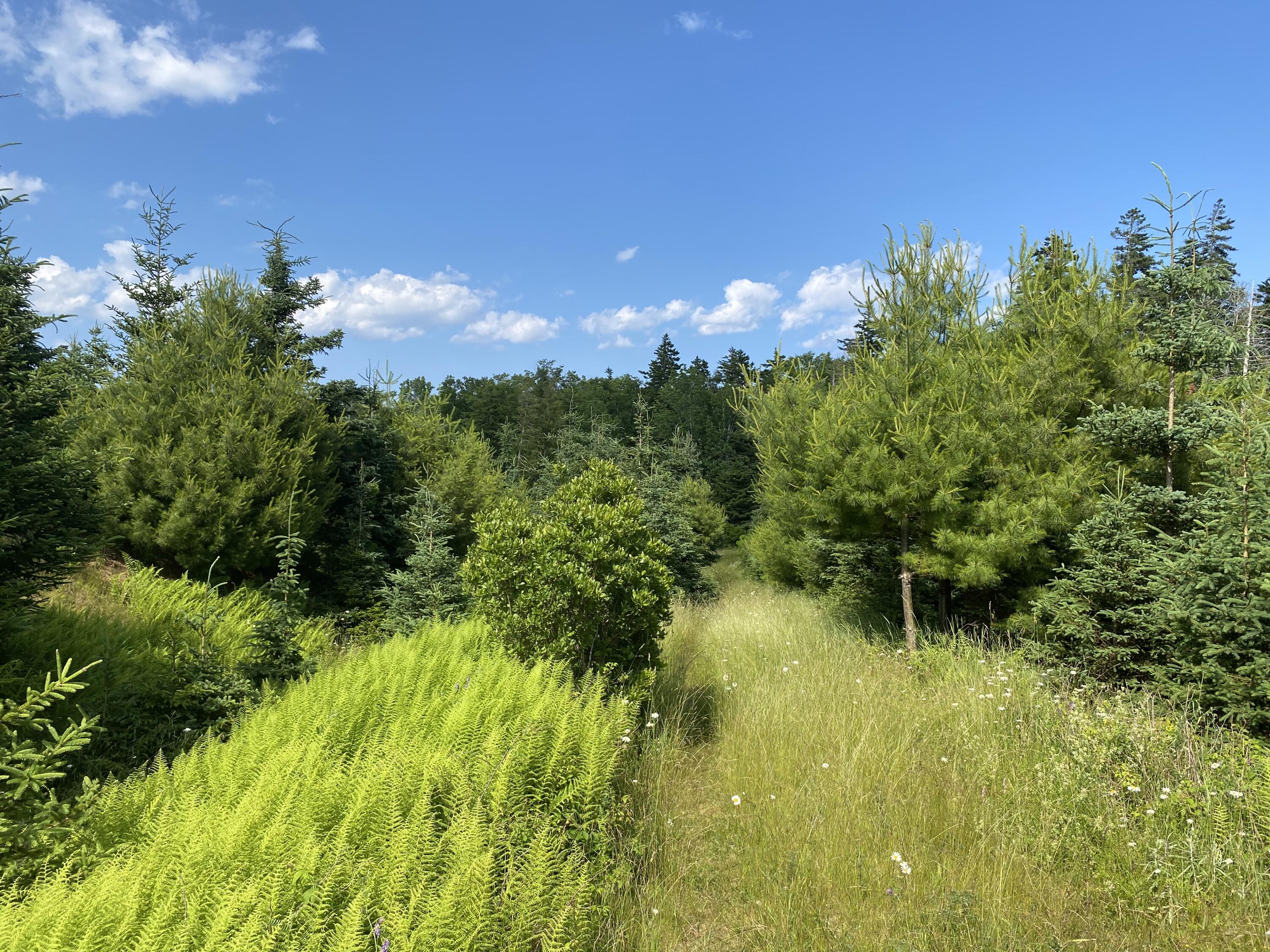 2q Hermit's Point Road Islesboro ME 04848