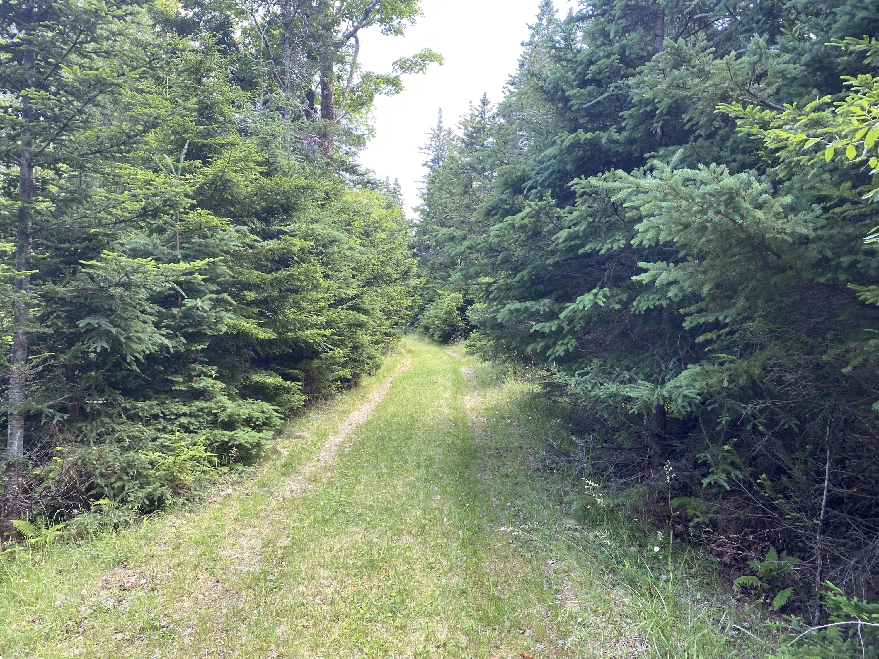 2q Hermit's Point Road Islesboro ME 04848