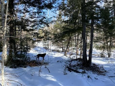 Mapr3lot36 Foxboro Road Lovell ME 04051