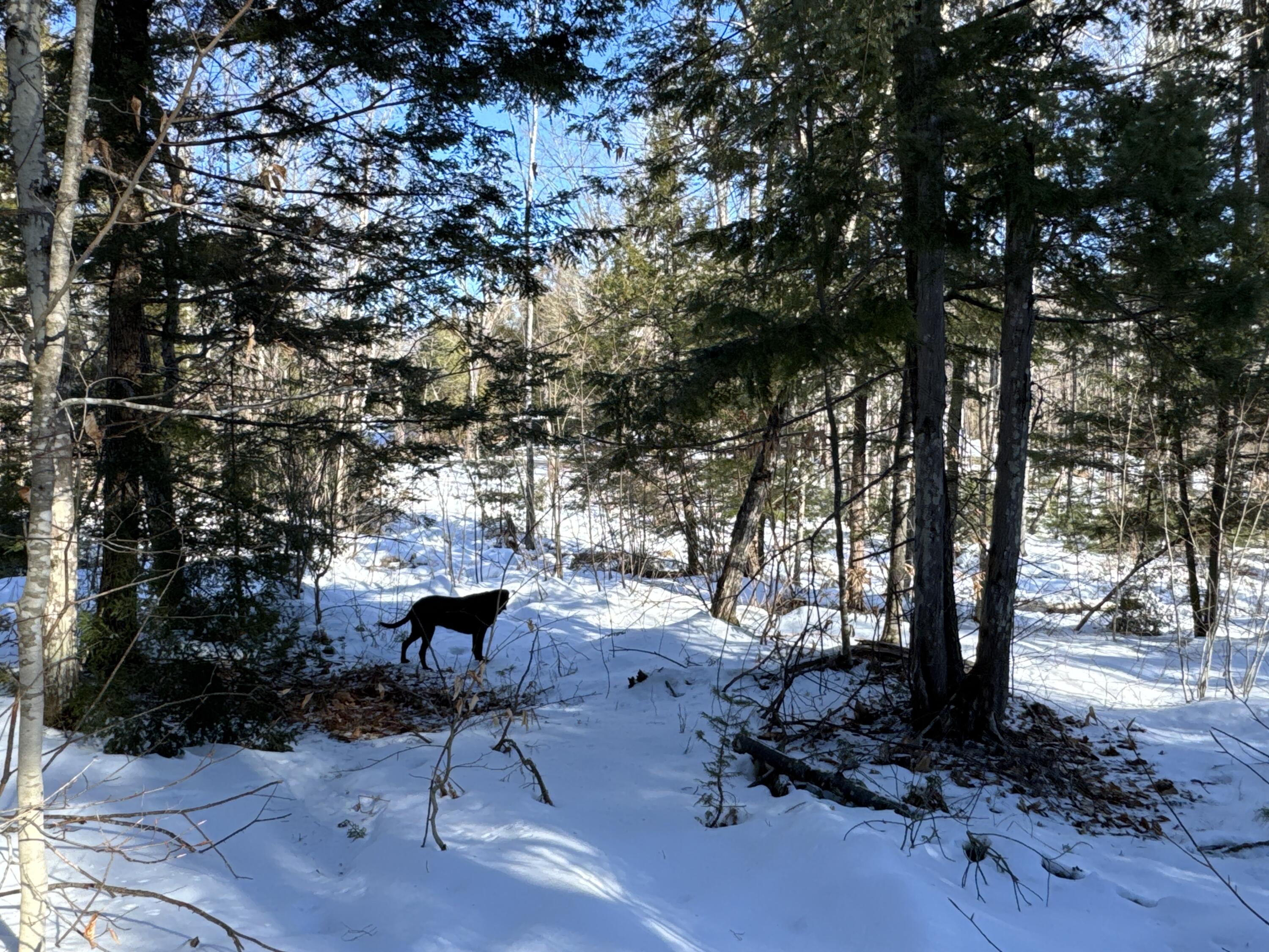 Mapr3lot36 Foxboro Road Lovell ME 04051