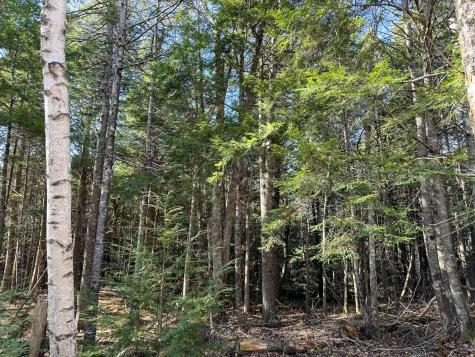 Lot 15 Long Lake Road Northfield ME 04654