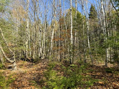 Lot 15 Long Lake Road Northfield ME 04654