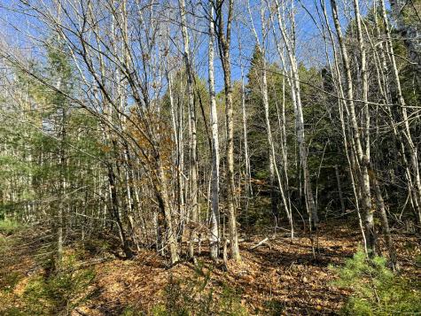 Lot 15 Long Lake Road Northfield ME 04654