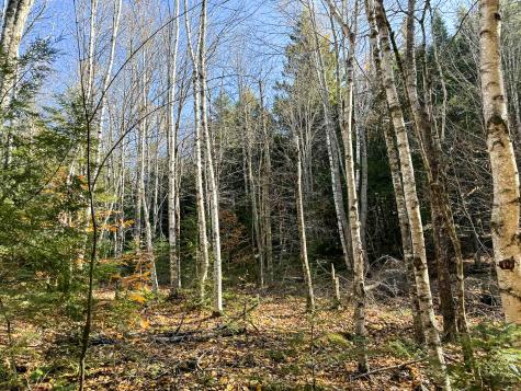 Lot 15 Long Lake Road Northfield ME 04654