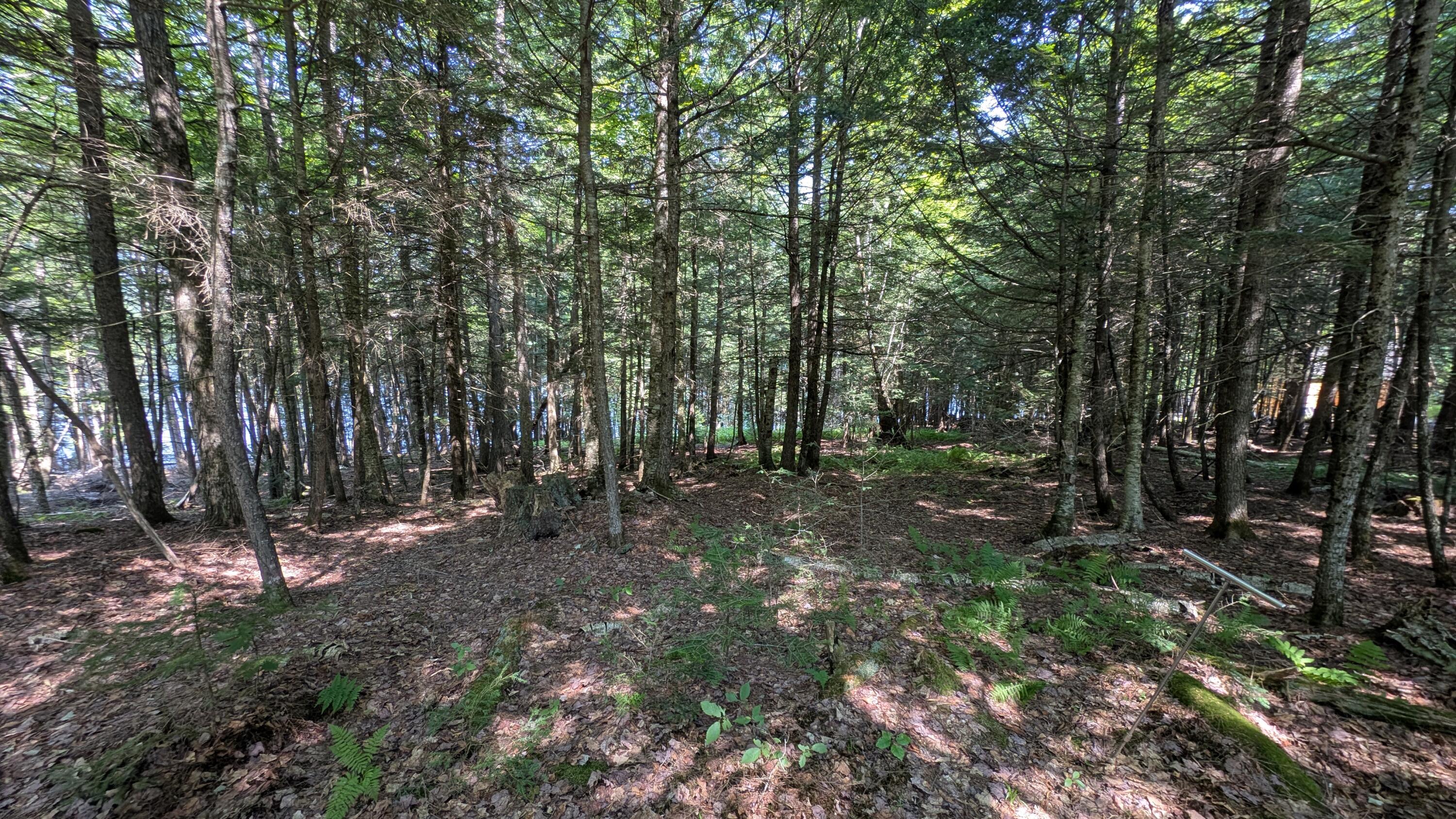 Lot #8 Kolm Lane Garland ME 04939
