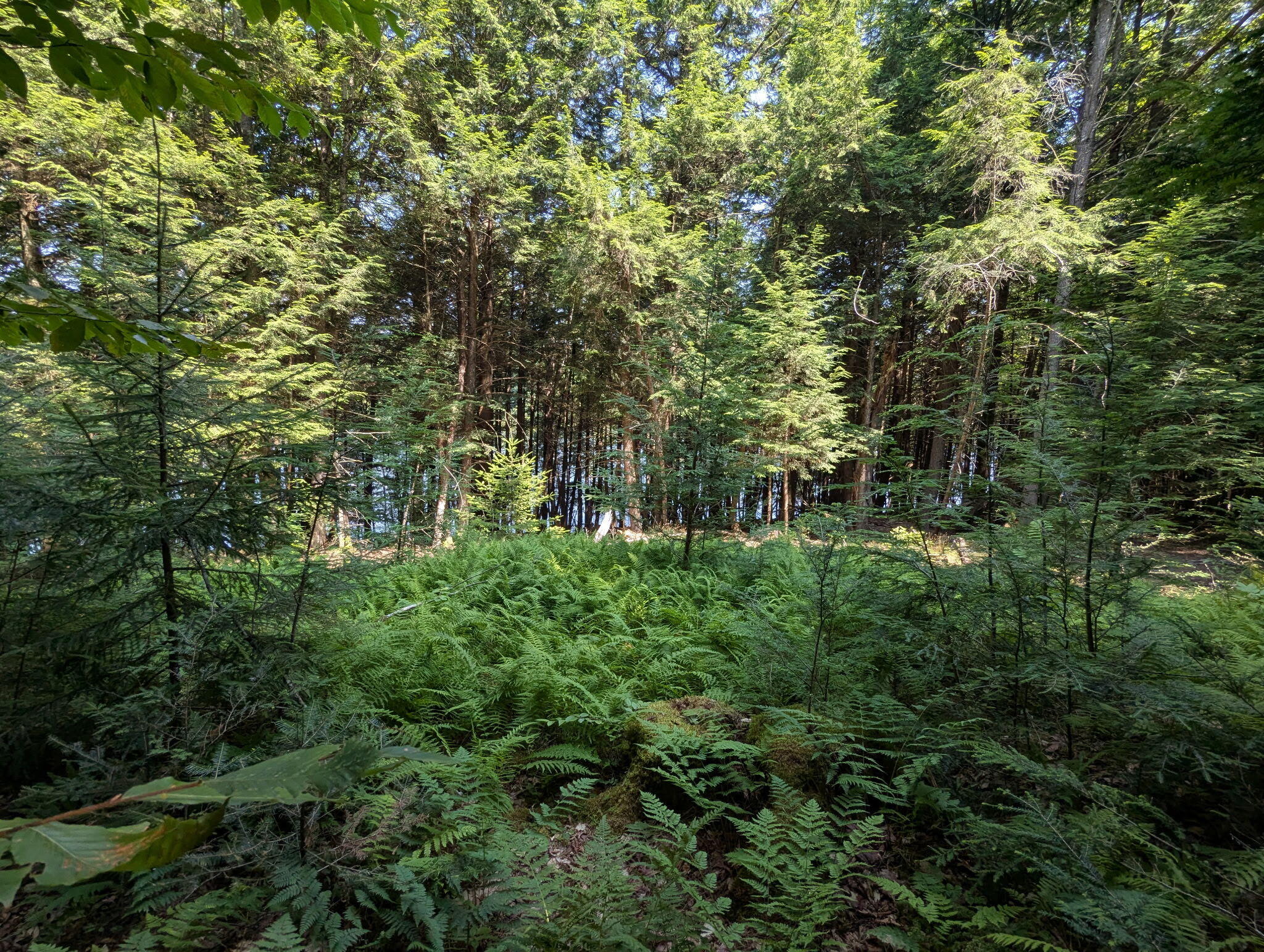 Lot #8 Kolm Lane Garland ME 04939