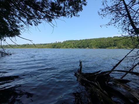 Lot #8 Kolm Lane Garland ME 04939