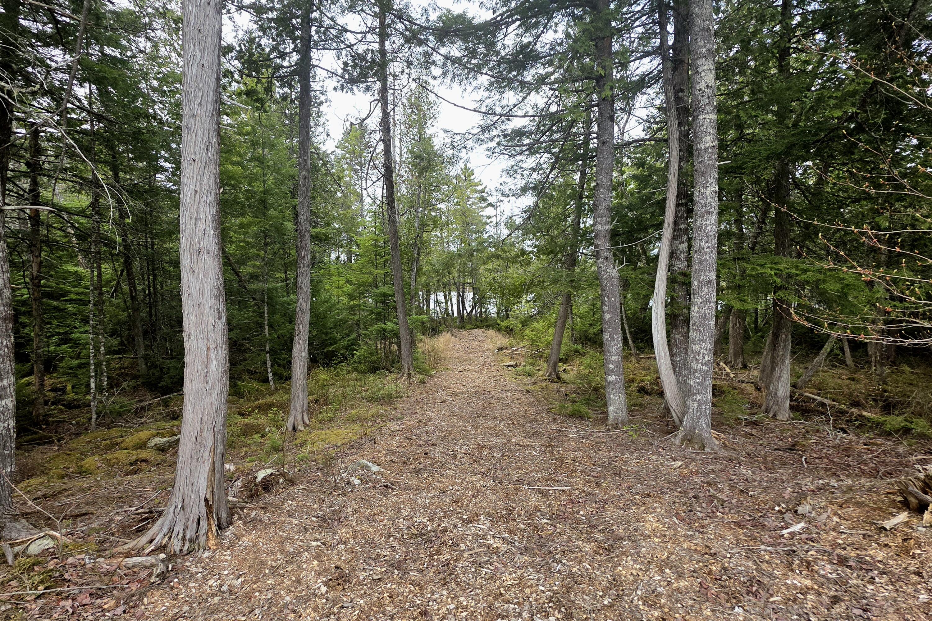 13 Bluff Drive Sherman ME 04776