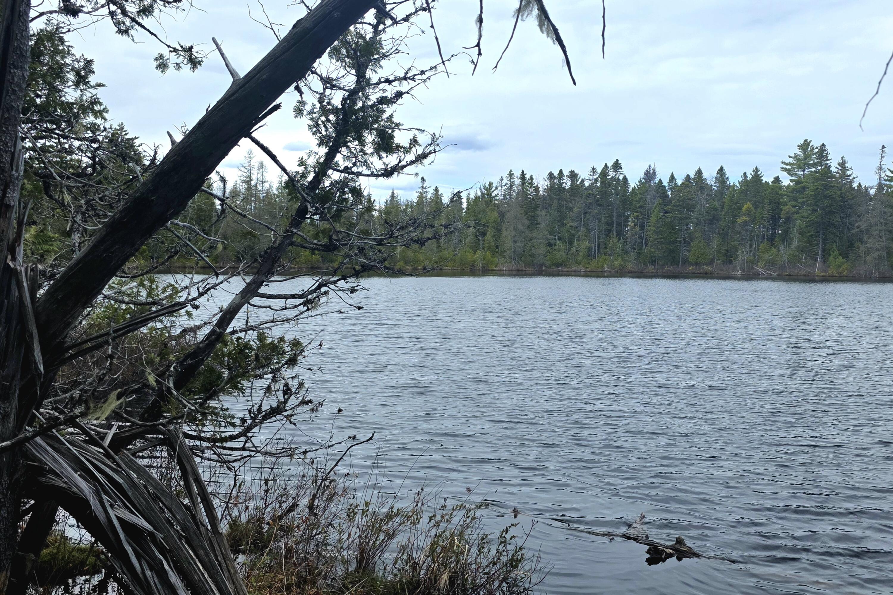 13 Bluff Drive Sherman ME 04776