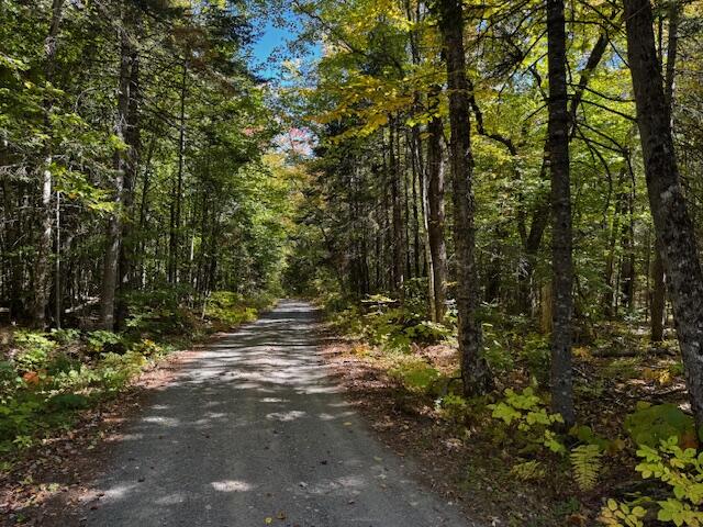 Map So081 Plan 05 Lot 10.1 Daniel Road Concord Twp ME 04920