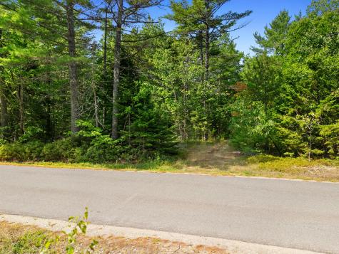 M31 L37 N Cobbtown Road Lincolnville ME 04849