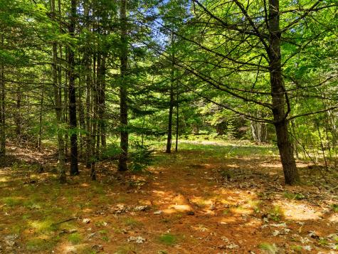 M31 L37 N Cobbtown Road Lincolnville ME 04849