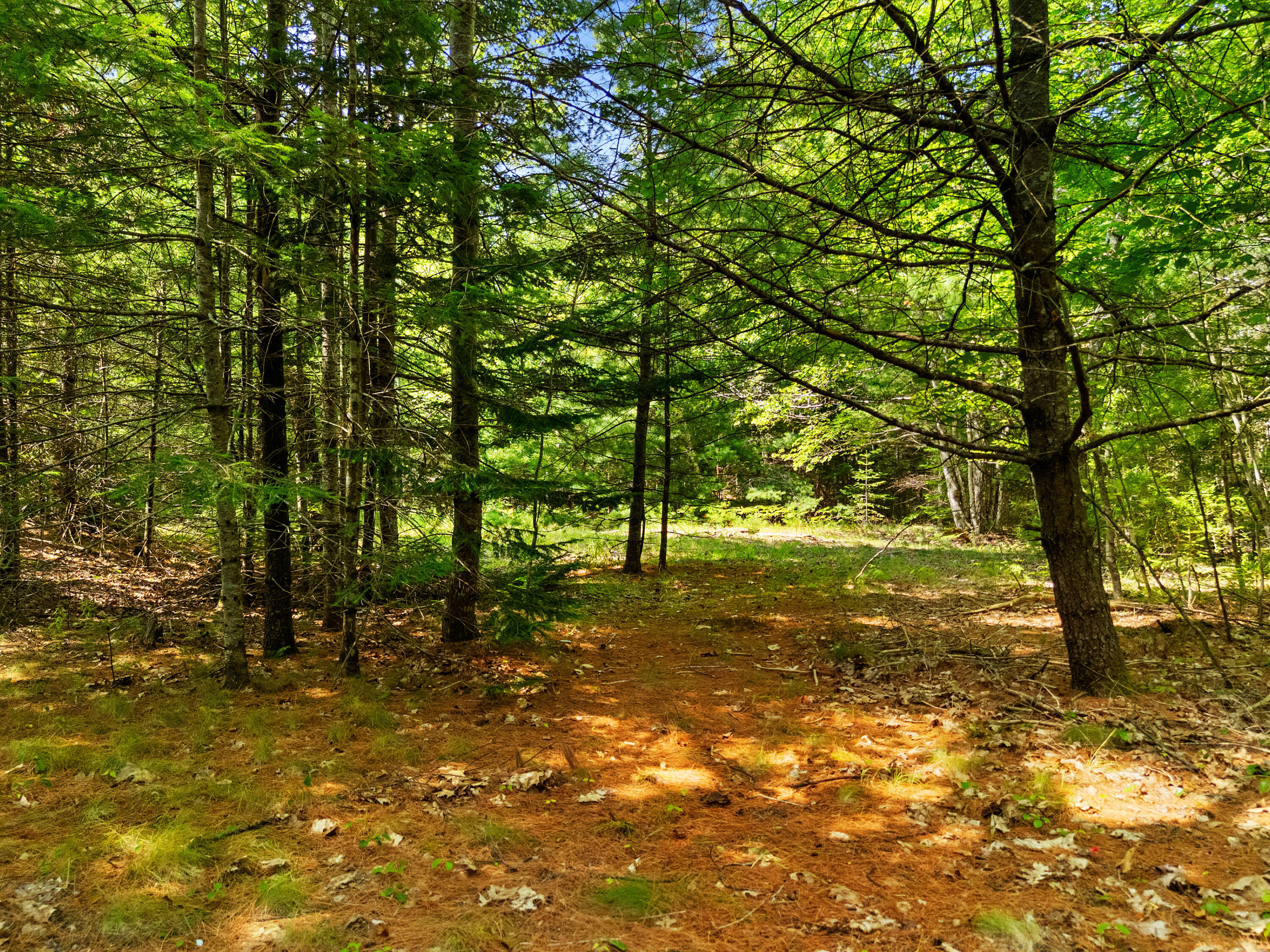 M31 L37 N Cobbtown Road Lincolnville ME 04849