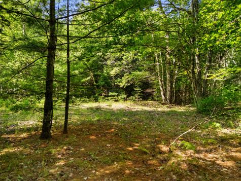 M31 L37 N Cobbtown Road Lincolnville ME 04849