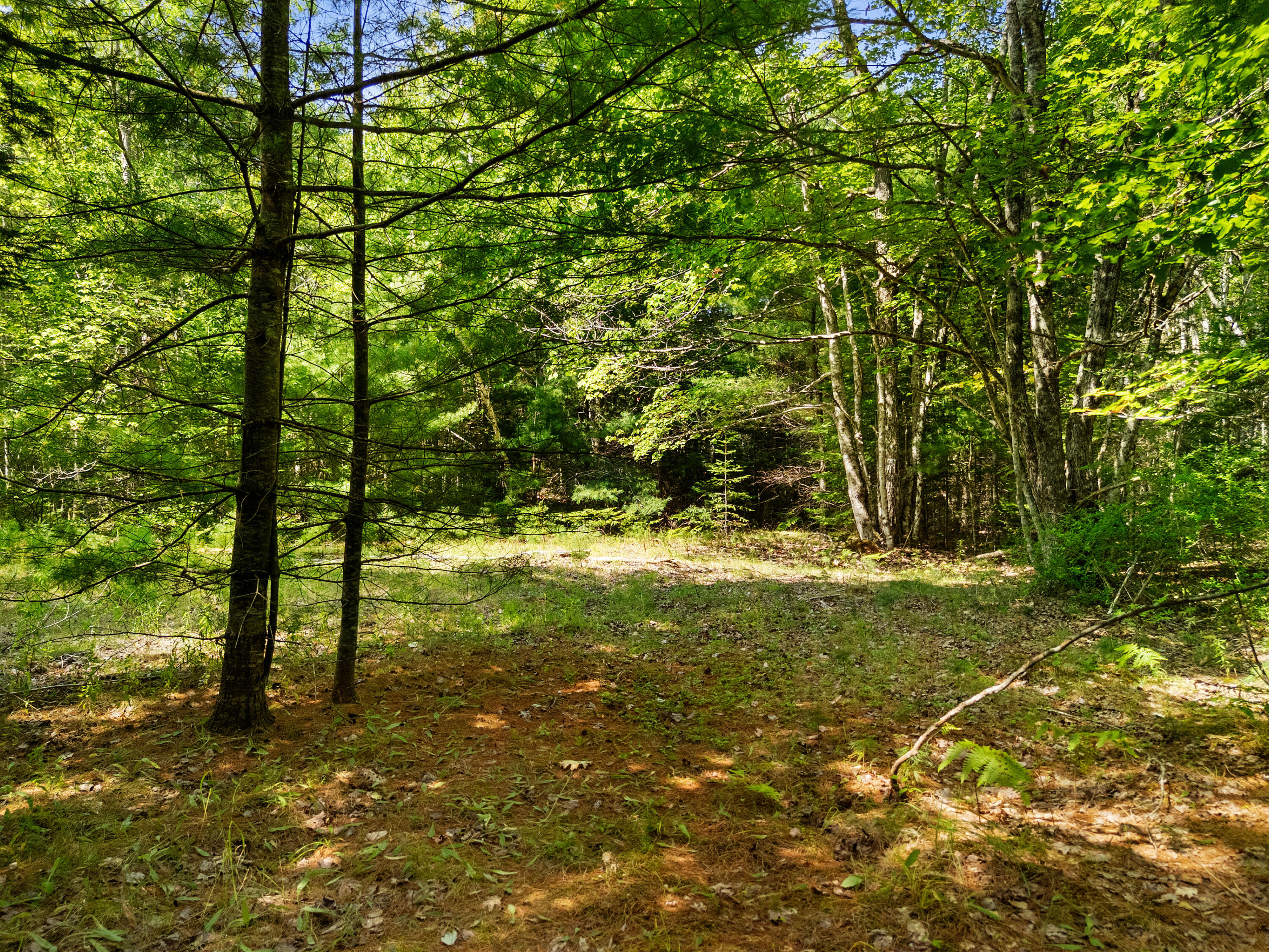 M31 L37 N Cobbtown Road Lincolnville ME 04849